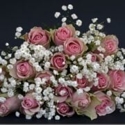 In today’s fast-paced world, sending flowers should feel simple, thoughtful, and reliable. Whether you’re celebrating a special occasion or surprising someone “just because,” Serenata Flowers makes it easy to deliver beautifully crafted bouquets across the UK. With a focus on freshness, design, and convenience, Serenata has become a trusted choice for modern flower delivery.