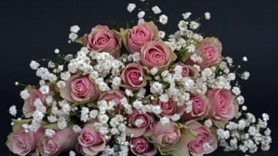 In today’s fast-paced world, sending flowers should feel simple, thoughtful, and reliable. Whether you’re celebrating a special occasion or surprising someone “just because,” Serenata Flowers makes it easy to deliver beautifully crafted bouquets across the UK. With a focus on freshness, design, and convenience, Serenata has become a trusted choice for modern flower delivery.