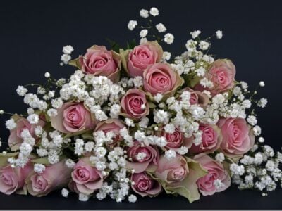 In today’s fast-paced world, sending flowers should feel simple, thoughtful, and reliable. Whether you’re celebrating a special occasion or surprising someone “just because,” Serenata Flowers makes it easy to deliver beautifully crafted bouquets across the UK. With a focus on freshness, design, and convenience, Serenata has become a trusted choice for modern flower delivery.