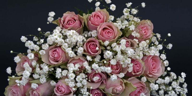 In today’s fast-paced world, sending flowers should feel simple, thoughtful, and reliable. Whether you’re celebrating a special occasion or surprising someone “just because,” Serenata Flowers makes it easy to deliver beautifully crafted bouquets across the UK. With a focus on freshness, design, and convenience, Serenata has become a trusted choice for modern flower delivery.